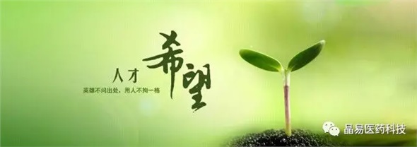 晶易醫藥獲評就業(yè)見(jiàn)習基地與研究生培養創(chuàng  )新基地，構筑人才發(fā)展新臺階